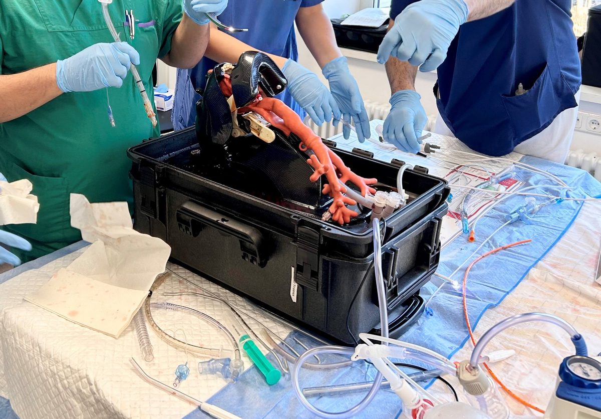Praktisches Intubationstraining an einem Atemwegsphantom mit Bronchialbaum im Trainingskoffer